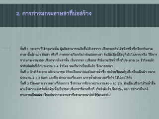 2. การทาร่มกระดาษสาที่บ่อสร้าง
ขั้นที่ 1 กระดาษที่ใช้คลุมร่มนั้น ผู้ผลิตสามารถผลิตขึ้นใช้เองจากเปลือกของต้นไม้ชนิดหนึ่งซึ่งเรียกกันตาม
ภาษาพื้นบ้านว่า ต้นสา หรือที่ ภาคกลางเรียกกันว่าต้นปอกระสา ต้นไม้ชนิดนี้มีอยู่ทั่วไปในภาคเหนือ วิธีการ
ทาร่มกระดาษของเปลือกจากต้นสานั้น เริ่มจากนา เปลือกสาที่ได้มาแช่ในน้าทิ้งไว้ประมาณ 24 ชั่วโมงแล้ว
นาไปต้มกับขี้เถ้าประมาณ 3-4 ชั่วโมง จนเห็นว่าเปื่อยดีแล้ว จึงนาออกมา
ขั้นที่ 2 ล้างให้สะอาด แล้วนามาทุบ ให้ละเอียดนาไปแช่ในอ่างน้าซึ่ง ก่อด้วยซีเมนต์รูปสี่เหลี่ยมผืนผ้า ขนาด
ประมาณ 2 x 3 เมตร และลึก ประมาณครึ่งเมตร บรรจุน้าประมาณครึ่งถัง ใช้ไม้คนให้ทั่ว
ขั้นที่ 3 ใช้ตะแกรงขนาดตามที่ต้องการ ซึ่งส่วนมากมีขนาดประมาณ40 x 60 ซ.ม. ตักเยื่อเปลือกไม้ในน้าขึ้น
มาแล้วตากแดดให้แห้งเมื่อเนื้อเยื่อของเปลือกสาที่ตากทิ้งไว้ ไว้แห้งดีแล้ว จึงค่อยๆ ลอก ออกมาก็จะได้
กระดาษเป็นแผ่น เรียกกันว่ากระดาษสาซึ่งสามารถนาไปใช้หุ้มร่มต่อไป
 