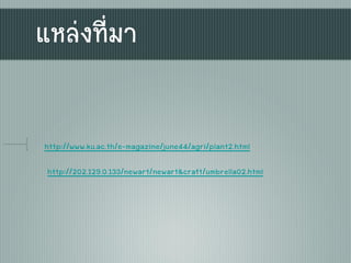 แหล่งที่มา
http://www.ku.ac.th/e-magazine/june44/agri/plant2.html
http://202.129.0.133/newart/newart&craft/umbrella02.html
 