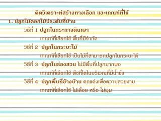 คิดวิเคราะห์สร้างทางเลือก และเกณฑ์ที่ใช้
1. ปลูกไม้ดอกไม้ประดับที่บ้าน
วิธีที่ 1 ปลูกในกระถางดินเผา
เกณฑ์ที่เลือกใช้ พื้นที่มีจากัด
วิธีที่ 2 ปลูกในกระบะไม้
เกณฑ์ที่เลือกใช้ เป็นไม้ที่สามารถปลูกในกระบะได้
วิธีที่ 3 ปลูกในร่องสวน ไม่มีพื้นที่ปลูกมากพอ
เกณฑ์ที่เลือกใช้ พืชที่โตในบริเวณที่มีน้าขัง
วิธีที่ 4 ปลูกพื้นที่ข้างบ้าน ตกแต่งเพื่อความสวยงาม
เกณฑ์ที่เลือกใช้ ไม้เลื้อย หรือ ไม่พุ่ม
 