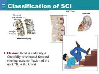 9.transection of sc kjg | PDF