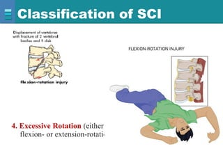 Sci Excessive Rotation 9.transection of sc kjg | PDF