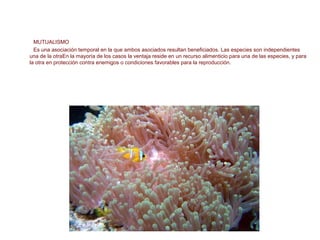 MUTUALISMO
Es una asociación temporal en la que ambos asociados resultan beneficiados. Las especies son independientes
una de la otraEn la mayoría de los casos la ventaja reside en un recurso alimenticio para una de las especies, y para
la otra en protección contra enemigos o condiciones favorables para la reproducción.
AUTORREGULACIÓN DE LA COMUNIDAD
 