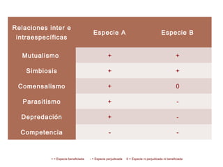 Relaciones inter e
intraespecíficas
Especie A Especie B
Mutualismo + +
Simbiosis + +
Comensalismo + 0
Parasitismo + -
Depredación + -
Competencia - -
Cuadro resumen
+ = Especie beneficiada - = Especie perjudicada 0 = Especie ni perjudicada ni beneficiada
 