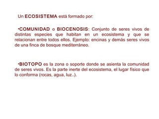 Un ECOSISTEMA está formado por:
•COMUNIDAD o BIOCENOSIS: Conjunto de seres vivos de
distintas especies que habitan en un ecosistema y que se
relacionan entre todos ellos. Ejemplo: encinas y demás seres vivos
de una finca de bosque mediterráneo.
•BIOTOPO es la zona o soporte donde se asienta la comunidad
de seres vivos. Es la parte inerte del ecosistema, el lugar físico que
lo conforma (rocas, agua, luz..).
 