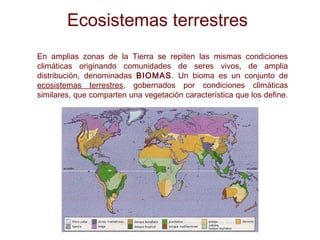 Ecosistemas terrestres
En amplias zonas de la Tierra se repiten las mismas condiciones
climáticas originando comunidades de seres vivos, de amplia
distribución, denominadas BIOMAS. Un bioma es un conjunto de
ecosistemas terrestres, gobernados por condiciones climáticas
similares, que comparten una vegetación característica que los define.
 