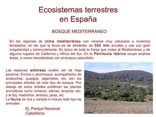 Ecosistemas terrestres
en España
BOSQUE MEDITERRANEO
En las regiones de clima mediterráneo con veranos muy calurosos e inviernos
templados, en las que la lluvia es de alrededor de 500 mm anuales y cae con gran
irregularidad y torrencialmente. Es típico de toda la franja que rodea al Mediterráneo y de
algunos lugares de California y Africa del Sur. En la Península Ibérica ocupa amplias
áreas, a veces mezclándose con el bosque caducifolio.
Las especies arbóreas suelen ser de hoja
perenne: Encina y alcornoque, acompañados de
acebuches, quejigos, algarrobos, etc. son los
principales árboles de este tipo de bosque. Por
debajo de estos árboles proliferan las plantas
aromáticas como romeros, salvias, lavanda, etc.
y el boj, madroños, lentisco, jaras, etc
La fauna es rica y variada e incluye todo tipo de
animales
Ej: Parque Nacional
Cabañeros
 