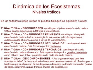 Dinámica de los Ecosistemas
Niveles tróficos
En las cadenas o redes tróficas se pueden distinguir los siguientes niveles:
1º Nivel Trófico = PRODUCTORES: constituyen el primer eslabón de la cadena
trófica, son los organismos autótrofos o fotosintéticos.
2º Nivel Trófico = CONSUMIDORES PRIMARIOS: constituyen el segundo
eslabón de la cadena trófica, la energía de las plantas y demás organismos
autótrofos pasa al mundo animal a través de los herbívoros.
3º Nivel Trófico = CONSUMIDORES SECUNDARIOS: constituyen el tercer
eslabón de la cadena. Está formado por los carnívoros.
4º Nivel Trófico = CONSUMIDORES TERCIARIOS: constituyen el cuarto
eslabón de la cadena alimentaria. Está representado por los grandes carnívoros
como el buho, león, lobo... presentes en la parte alta de la cadena.
5º Nivel Trófico= DESCOMPONEDORES. A los organismos que permiten
transformar la MO de la comunidad o biocenosis de seres vivos en MI. Son hongos y
bacterias que se alimentan de los despojos o desechos de toda la comunidad (restos
de hojas, cadáveres, ramas, troncos, mudas de insectos, etc
 