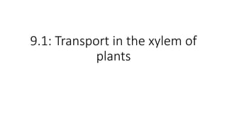 9.1: Transport in the xylem of
plants
 