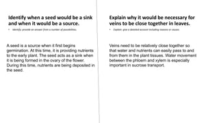 Identify when a seed would be a sink
and when it would be a source.
• Identify: provide an answer from a number of possibilities.
Explain why it would be necessary for
veins to be close together in leaves.
• Explain: give a detailed account including reasons or causes.
Veins need to be relatively close together so
that water and nutrients can easily pass to and
from them in the plant tissues. Water movement
between the phloem and xylem is especially
important in sucrose transport.
A seed is a source when it first begins
germination. At this time, it is providing nutrients
to the early plant. The seed acts as a sink when
it is being formed in the ovary of the flower.
During this time, nutrients are being deposited in
the seed.
 
