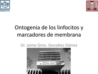 Ontogenia de los linfocitos y
marcadores de membrana
Dr. Jaime Gmo. González Gámez
 