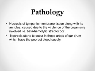 Pathology
• Necrosis of tympanic membrane tissue along with its
annulus. caused due to the virulence of the organisms
involved i.e. beta-hemolytic streptococci.
• Necrosis starts to occur in those areas of ear drum
which have the poorest blood supply.
 