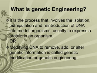 What Is Genetic Engineering Simple