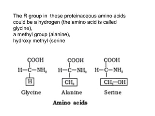 The R Group 9. Biomolecules | PPT