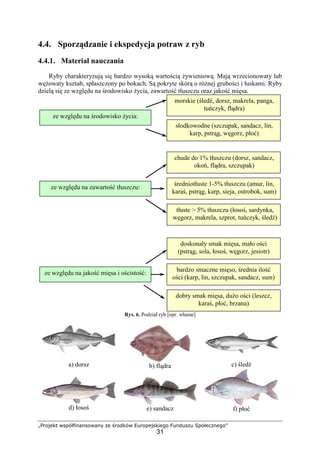 „Projekt współfinansowany ze środków Europejskiego Funduszu Społecznego”
31
4.4. Sporządzanie i ekspedycja potraw z ryb
4.4.1. Materiał nauczania
Ryby charakteryzują się bardzo wysoką wartością żywieniową. Mają wrzecionowaty lub
wężowaty kształt, spłaszczony po bokach. Są pokryte skórą o różnej grubości i łuskami. Ryby
dzielą się ze względu na środowisko życia, zawartość tłuszczu oraz jakość mięsa.
Rys. 6. Podział ryb [opr. własne]
a) dorsz b) flądra c) śledź
d) łosoś e) sandacz f) płoć
ze względu na środowisko życia:
morskie (śledź, dorsz, makrela, panga,
tuńczyk, flądra)
ze względu na zawartość tłuszczu:
słodkowodne (szczupak, sandacz, lin,
karp, pstrąg, węgorz, płoć)
ze względu na jakość mięsa i ościstość:
chude do 1% tłuszczu (dorsz, sandacz,
okoń, flądra, szczupak)
średniotłuste 1-5% tłuszczu (amur, lin,
karaś, pstrąg, karp, sieja, ostrobok, sum)
tłuste > 5% tłuszczu (łosoś, sardynka,
węgorz, makrela, szprot, tuńczyk, śledź)
doskonały smak mięsa, mało ości
(pstrąg, sola, łosoś, węgorz, jesiotr)
bardzo smaczne mięso, średnia ilość
ości (karp, lin, szczupak, sandacz, sum)
dobry smak mięsa, dużo ości (leszcz,
karaś, płoć, brzana)
 