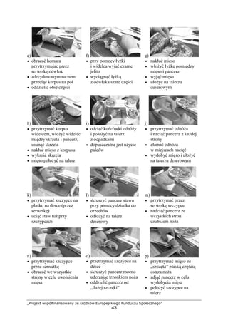 „Projekt współfinansowany ze środków Europejskiego Funduszu Społecznego”
43
e)
• obracać homara
przytrzymując przez
serwetkę odwłok
• zdecydowanym ruchem
przeciąć korpus na pół
• oddzielić obie części
f)
• przy pomocy łyżki
i widelca wyjąć czarne
jelito
• wyciągnąć łyżką
z odwłoka szare części
g)
• nakłuć mięso
• włożyć łyżkę pomiędzy
mięso i pancerz
• wyjąć mięso
• ułożyć na talerzu
deserowym
h)
• przytrzymać korpus
widelcem, włożyć widelec
między skrzela i pancerz,
usunąć skrzela
• nakłuć mięso z korpusu
• wykroić skrzela
• mięso położyć na talerz
i)
• odciąć końcówki odnóży
i położyć na talerz
z odpadkami
• dopuszczalne jest użycie
palców
j)
• przytrzymać odnóża
i naciąć pancerz z każdej
strony
• złamać odnóża
w miejscach nacięć
• wydobyć mięso i ułożyć
na talerzu deserowym
k)
• przytrzymać szczypce na
płasko na desce (przez
serwetkę)
• uciąć staw tuż przy
szczypcach
l)
• skruszyć pancerz stawu
przy pomocy dziadka do
orzechów
• odłożyć na talerz
deserowy
m)
• przytrzymać przez
serwetkę szczypce
• nadciąć pancerz ze
wszystkich stron
czubkiem noża
n)
• przytrzymać szczypce
przez serwetkę
• obracać we wszystkie
strony w celu uwolnienia
mięsa
o)
• przetrzymać szczypce na
desce
• skruszyć pancerz mocno
uderzając trzonkiem noża
• oddzielić pancerz od
„dużej szczęki”
p)
• przytrzymać mięso ze
„szczęki” płaską częścią
ostrza noża
• zdjąć pancerz w celu
wydobycia mięsa
• położyć szczypce na
talerz
 