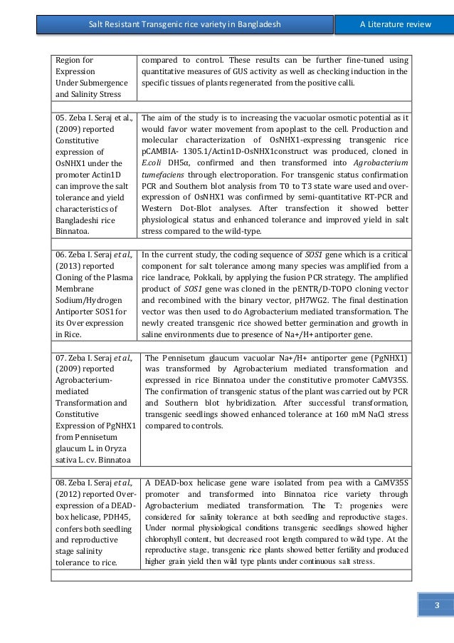 Research paper about rice image