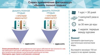 Схема применения фитокапсул
«Дышать полной грудью»
ОДИН КУРС ОДИН КУРС
ДЫШАТЬ ПОЛНОЙ
ГРУДЬЮ
+ КРЕПКИЙ
ИММУНИТЕТ
1 курс = 30 дней
за 30 мин до еды
1 капсула/2 раза в
день
1 неделя: перерыв
между курсами
Важно!
Запивайте фитокапсулы
достаточным количеством
воды.
Выпивайте минимум 150 мл
жидкости во время приема.
Схема рекомендована для профилактики простудных заболеваний при склонности к ним,
при имеющихся простудных заболеваниях для профилактики осложнений, в
восстановительном периоде после болезней дыхательной системы.
Повторять курс 2 раза в год (весной и осенью)!
ДЫШАТЬ ПОЛНОЙ
ГРУДЬЮ
+ КРЕПКИЙ
ИММУНИТЕТ
 