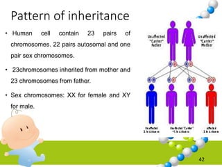Pattern of inheritance
• Human cell contain 23 pairs of
chromosomes. 22 pairs autosomal and one
pair sex chromosomes.
• 23chromosomes inherited from mother and
23 chromosomes from father.
• Sex chromosomes: XX for female and XY
for male.
42
 