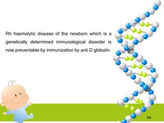 Rh haemolytic disease of the newborn which is a
genetically determined immunological disorder is
now preventable by immunization by anti D globulin.
66
 