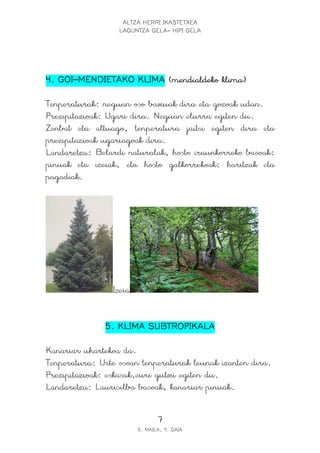 ALTZA HERRI IKASTETXEA
LAGUNTZA GELA- HIPI GELA
7
5. MAILA, 9. GAIA
4. GOI4. GOI4. GOI4. GOI----MENDIETAKO KLIMAMENDIETAKO KLIMAMENDIETAKO KLIMAMENDIETAKO KLIMA (mendialdeko klima)(mendialdeko klima)(mendialdeko klima)(mendialdeko klima)
Tenperaturak: neguan oso baxuak dira eta gozoak udan.
Prezipitazioak: Ugari dira. Neguan elurra egiten du.
Zenbat eta altuago, tenperatura jaitsi egiten dira eta
prezipitazioak ugariagoak dira.
Landaretza: Belardi naturalak, hosto iraunkorreko basoak:
pinuak eta izeiak, eta hosto galkorrekoak: haritzak eta
pagadiak.
Izeia
5. KLIMA SUBTROPIKALA5. KLIMA SUBTROPIKALA5. KLIMA SUBTROPIKALA5. KLIMA SUBTROPIKALA
Kanariar uhartekoa da.
Tenperatura: Urte osoan tenperaturak leunak izanten dira.
Prezipitazioak: eskasak,euri gutxi egiten du.
Landaretza: Laurisilba basoak, kanariar pinuak.
 