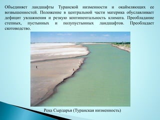 Объединяет ландшафты Туранской низменности и окаймляющих ее
возвышенностей. Положение в центральной части материка обуславливает
дефицит увлажнения и резкую континентальность климата. Преобладание
степных, пустынных и полупустынных ландшафтов. Преобладает
скотоводство.
Река Сырдарья (Туранская низменность)
 