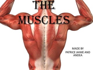 THE
MUSCLES
MADE BY
PATRICE JAIME AND
ANDEA
 