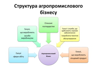 Структура агропромислового
бізнесу
Агропромисловий
бізнес
Галузі
сфери обігу
Галузі,
що виробляють
засоби
виробництва
Сільське
господарство
Галузі і служби, що
здійснюють наукове
забезпечення
і виробничо-технічне
обслуговування
Галузі,
що виробляють
кінцевий продукт
 