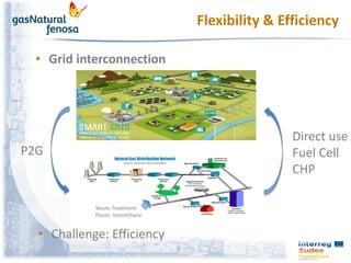 • Grid interconnection
P2G
Direct use
Fuel Cell
CHP
Waste Treatment
Plants: biomethane
• Challenge: Efficiency
 
