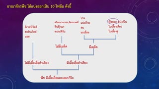 อาณาจักรพืช ได้แบ่งออกเป็น 10 ไฟลัม ดังนี้
พืช มีเนื้อเยื่อและเอมบริโอ
ไม่มีเนื้อเยื่อล้าเลียง มีเนื้อเยื่อล้าเลียง
ลิเวอร์เวิตส์
ฮอร์นเวิตส์
มอส
สร้อยนางกรอง,ช้องนางคลี่
ตีนตุ๊กแก
พวกเฟิร์น
ไม่มีเมล็ด มีเมล็ด
ปรง
แปะก๊วย
สน
มะเมื่อย
พืชดอก แบ่งเป็น
ใบเลี้ยงเดี่ยว
ใบเลี้ยงคู่
 