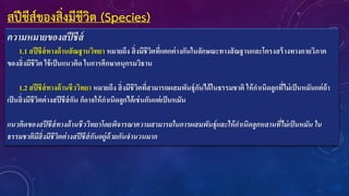สปีชีส์ของสิ่งมีชีวิต (Species)
ความหมายของสปีชีส์
1.1 สปีชีส์ทางด้านสัณฐานวิทยา หมายถึง สิ่งมีชีวิตที่แตกต่างกันในลักษณะทางสัณฐานและโครงสร้างทางกายวิภาค
ของสิ่งมีชีวิต ใช้เป็นแนวคิด ในการศึกษาอนุกรมวิธาน
1.2 สปีชีส์ทางด้านชีววิทยา หมายถึง สิ่งมีชีวิตที่สามารถผสมพันธุ์กันได้ในธรรมชาติ ให้กาเนิดลูกที่ไม่เป็นหมันแต่ถ้า
เป็นสิ่งมีชีวิตต่างสปีชีส์กัน ก็อาจให้กาเนิดลูกได้เช่นกันแต่เป็นหมัน
แนวคิดของสปีชีส์ทางด้านชีววิทยาโดยพิจารณาความสามารถในการผสมพันธุ์และให้กาเนิดลูกหลานที่ไม่เป็นหมัน ใน
ธรรมชาติมีสิ่งมีชีวิตต่างสปีชีส์กันอยู่ด้วยกันจานวนมาก
 