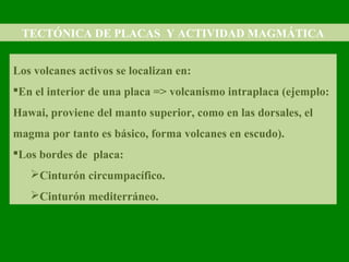 TECTÓNICA DE PLACAS Y ACTIVIDAD MAGMÁTICA
Los volcanes activos se localizan en:
En el interior de una placa => volcanismo intraplaca (ejemplo:
Hawai, proviene del manto superior, como en las dorsales, el
magma por tanto es básico, forma volcanes en escudo).
Los bordes de placa:
Cinturón circumpacífico.
Cinturón mediterráneo.
 