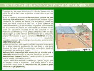 TECTÓNICA DE PLACAS Y ACTIVIDAD METAMÓRFICA
Producido en las zonas de subducción o bordes destructivos de
placa. Es el de las zonas orogénicas la cual abarca grandes
extensiones.
Actúa la presión y temperatura.Metamorfismo regional de alta
presión y baja temperatura: la placa listosférica subduce bajo la
continental, se produce en ambas una alta presión, como las
rocas son malas conductoras del calor, la placa oceánica se
calienta lentamente, y el metamorfismo se produce principalmente
por el aumento de presión en profundidad. Se localiza en las
zonas de subducción situadas en la fosa oceánica => los
materiales (sedimentos y rocas igneas) atrapadas entre las dos
placas llegan a sufrir intensas deformaciones de su estructura
original=>formándose lo que se denomina MELANGE (mezcla).
Las rocas resultantes
aparecen asociadas a los melanges mencionadas se denominan
ESQUISTOS AZULES.
La baja temperatura está condicionada por la propia temperatura
de la placa oceánica subducente, la cual llega a esta zona
después de haber sufrido un prolongado enfriamiento desde el
momento en que se formo la dorsal.
Metamorfismo regional de alta temperatura y presión baja o
intermedia: producido sobre el plano de Benioff (por encima).
Metamorfismo de grado alto => a medida que subduce aumenta
tanto la presión como la temperatura.
La placa subducente se funde con el tiempo y genera magma que
se desplaza hacia la superficie , que puede alterar la roca
circundante dando lugar al metamorfismo de contacto (alta
temperatura y baja presión).
Producido en las zonas de subducción o bordes destructivos de
placa. Es el de las zonas orogénicas la cual abarca grandes
extensiones.
Actúa la presión y temperatura.Metamorfismo regional de alta
presión y baja temperatura: la placa listosférica subduce bajo la
continental, se produce en ambas una alta presión, como las
rocas son malas conductoras del calor, la placa oceánica se
calienta lentamente, y el metamorfismo se produce principalmente
por el aumento de presión en profundidad. Se localiza en las
zonas de subducción situadas en la fosa oceánica => los
materiales (sedimentos y rocas igneas) atrapadas entre las dos
placas llegan a sufrir intensas deformaciones de su estructura
original=>formándose lo que se denomina MELANGE (mezcla).
Las rocas resultantes
aparecen asociadas a los melanges mencionadas se denominan
ESQUISTOS AZULES.
La baja temperatura está condicionada por la propia temperatura
de la placa oceánica subducente, la cual llega a esta zona
después de haber sufrido un prolongado enfriamiento desde el
momento en que se formo la dorsal.
Metamorfismo regional de alta temperatura y presión baja o
intermedia: producido sobre el plano de Benioff (por encima).
Metamorfismo de grado alto => a medida que subduce aumenta
tanto la presión como la temperatura.
La placa subducente se funde con el tiempo y genera magma que
se desplaza hacia la superficie , que puede alterar la roca
circundante dando lugar al metamorfismo de contacto (alta
temperatura y baja presión).
 