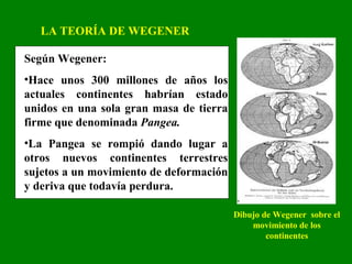 Según Wegener:
•Hace unos 300 millones de años los
actuales continentes habrían estado
unidos en una sola gran masa de tierra
firme que denominada Pangea.
•La Pangea se rompió dando lugar a
otros nuevos continentes terrestres
sujetos a un movimiento de deformación
y deriva que todavía perdura.
LA TEORÍA DE WEGENER
Dibujo de Wegener sobre el
movimiento de los
continentes
 