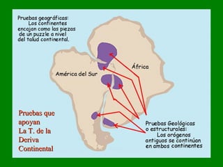 Pruebas quePruebas que
apoyanapoyan
La T. de laLa T. de la
DerivaDeriva
ContinentalContinental
 