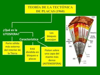TEORÍA DE LA TECTÓNICA
DE PLACAS (1960)
TEORÍA DE LA TECTÓNICA
DE PLACAS (1960)
¿Qué es la
LITOSFERA?
Característica
s
Los
bloques
encajan
Parte sólida
más externa
del interior de
la Tierra
Está
dividida en
bloques o
placas
Flotan sobre
una capa del
manto más
densa
(ASTENOSFERA)
 