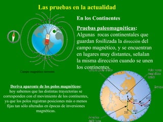 En los Continentes
Pruebas paleomagnéticas:
Algunas rocas continentales que
guardan fosilizada la dirección del
campo magnético, y se encuentran
en lugares muy distantes, señalan
la misma dirección cuando se unen
los continentes.
Las pruebas en la actualidad
Campo magnético terrestre
Deriva aparente de los polos magnéticos:
hoy sabemos que las distintas trayectorias se
corresponden con el movimiento de los continentes,
ya que los polos registran posiciones más o menos
fijas tan sólo alteradas en épocas de inversiones
magnéticas.
 