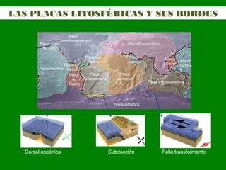 LAS PLACAS LITOSFÉRICAS Y SUS BORDES
Subducción Falla transformante
Placa
Norteamericana
Placa Pacífica
Placa Euroasiática
Placa
Pacífica
Placa
Arábiga
Placa
Africana
Placa Indoaustraliana
Placa
de
Nazca
Placa de
Cocos
Placa Antártica
Placa del
Caribe
Placa
Filipina
Placa
Suramericana
Placa Juan
de Fuca
Dorsal oceánica
 