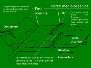 Dorsal medio-oceánica
Rift
Continente
Fondo
oceánico
Litosfera
Astenosfera
Fosa
oceánica
De cuando en cuando se rompe la
continuidad de la dorsal por las
Fallas Transformantes
Alargada depresión en el borde
de continentes o junto a arcos
de islas volcánicas En la cumbre de la
dorsal. Son
depresiones
alargadas por donde
fluye magma del
manto
 