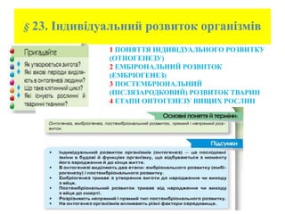 § 23. Індивідуальний розвиток організмів
1 ПОНЯТТЯ ІНДИВІДУАЛЬНОГО РОЗВИТКУ
(ОТНОГЕНЕЗУ)
2 ЕМБІРОНАЛЬНИЙ РОЗВИТОК
(ЕМБРІОГЕНЕЗ)
3 ПОСТЕМБРІОНАЛЬНИЙ
(ПІСЛЯЗАРОДКОВИЙ) РОЗВИТОК ТВАРИН
4 ЕТАПИ ОНТОГЕНЕЗУ ВИЩИХ РОСЛИН
 