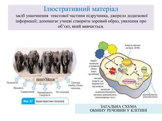 Ілюстративний матеріал
засіб унаочнення текстової частини підручника, джерело додаткової
інформації; допомагає учневі створити зоровий образ, уявлення про
об’єкт, який вивчається.
ЗАГАЛЬНА СХЕМА
ОБМІНУ РЕЧОВИН У КЛІТИНІ
 