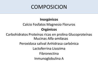 COMPOSICION
Inorgánicos
Calcio Fosfatos Magnesio Floruros
Orgánicos
Carbohidratos Proteínas ricas en prolina Glucoproteínas
Mucinas Alfa-amilasas
Peroxidasa salival Anhidrasa carbónica
Lactoferrina Lisozima
Fibronectina
Inmunoglobulina A
 
