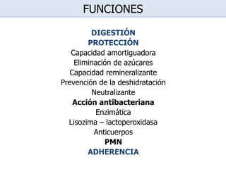 FUNCIONES
DIGESTIÓN
PROTECCIÓN
Capacidad amortiguadora
Eliminación de azúcares
Capacidad remineralizante
Prevención de la deshidratación
Neutralizante
Acción antibacteriana
Enzimática
Lisozima – lactoperoxidasa
Anticuerpos
PMN
ADHERENCIA
 