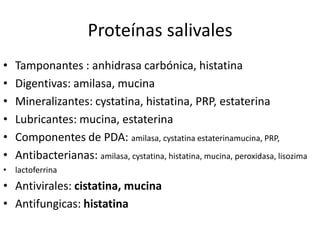 Proteínas salivales
• Tamponantes : anhidrasa carbónica, histatina
• Digentivas: amilasa, mucina
• Mineralizantes: cystatina, histatina, PRP, estaterina
• Lubricantes: mucina, estaterina
• Componentes de PDA: amilasa, cystatina estaterinamucina, PRP,
• Antibacterianas: amilasa, cystatina, histatina, mucina, peroxidasa, lisozima
• lactoferrina
• Antivirales: cistatina, mucina
• Antifungicas: histatina
 