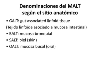 Denominaciones del MALT
según el sitio anatómico
• GALT: gut associated linfoid tissue
(Tejido linfoide asociado a mucosa intestinal)
• BALT: mucosa bronquial
• SALT: piel (skin)
• OALT: mucosa bucal (oral)
 