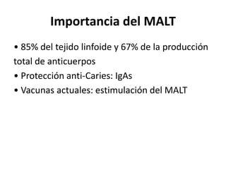Importancia del MALT
• 85% del tejido linfoide y 67% de la producción
total de anticuerpos
• Protección anti-Caries: IgAs
• Vacunas actuales: estimulación del MALT
 