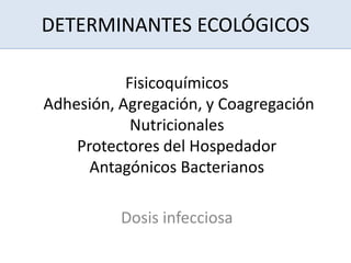 DETERMINANTES ECOLÓGICOS
Fisicoquímicos
Adhesión, Agregación, y Coagregación
Nutricionales
Protectores del Hospedador
Antagónicos Bacterianos
Dosis infecciosa
 