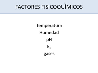 FACTORES FISICOQUÍMICOS
Temperatura
Humedad
pH
Eh
gases
 