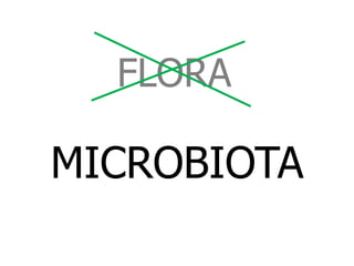 FLORA
MICROBIOTA
 