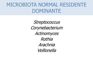 MICROBIOTA NORMAL RESIDENTE
DOMINANTE
Streptococcus
Corynebacterium
Actinomyces
Rothia
Arachnia
Veillonella
 