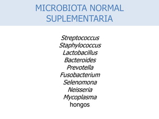 MICROBIOTA NORMAL
SUPLEMENTARIA
Streptococcus
Staphylococcus
Lactobacillus
Bacteroides
Prevotella
Fusobacterium
Selenomona
Neisseria
Mycoplasma
hongos
 